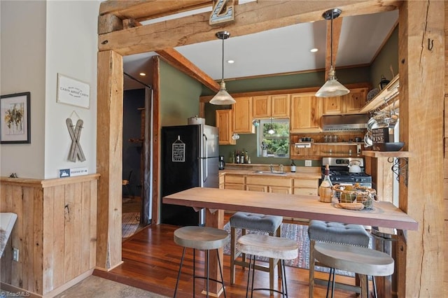 kitchen featuring under cabinet range hood, stainless steel appliances, light brown cabinets, a sink, and pendant lighting