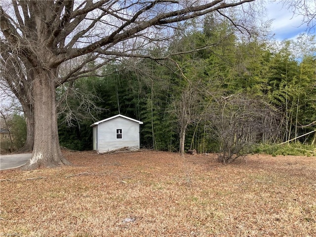 view of yard featuring a shed