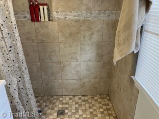 bathroom featuring vanity and a shower with shower curtain