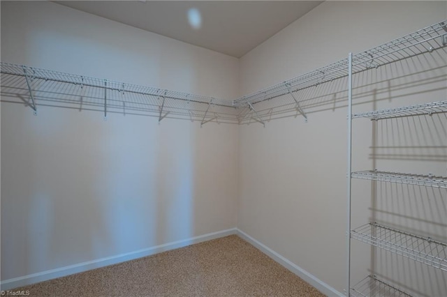 spacious closet featuring carpet
