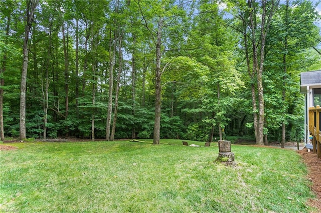 3717 Rock Haven Dr, Greensboro, NC 27410 - view of green lawn