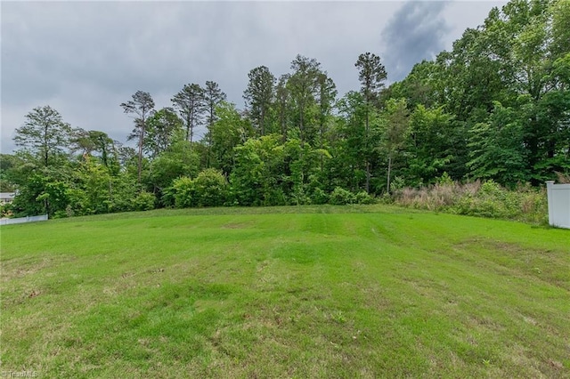 5968 Crescentbrook Ln, Clemmons, NC 27012 - view of green lawn