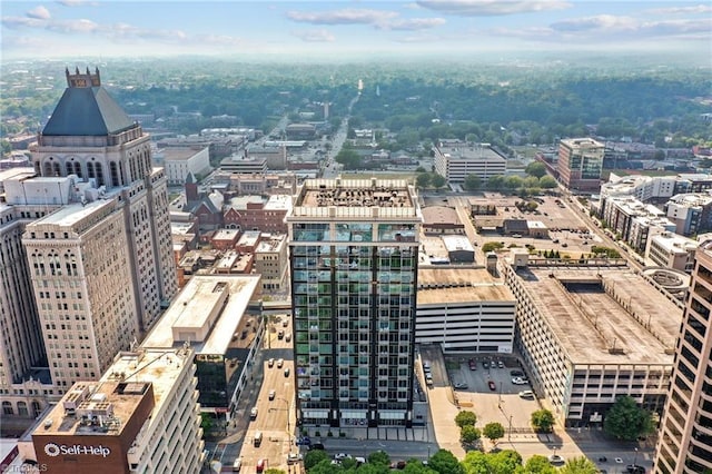201 N Elm St Unit 703, Greensboro, NC 27401 - city view
