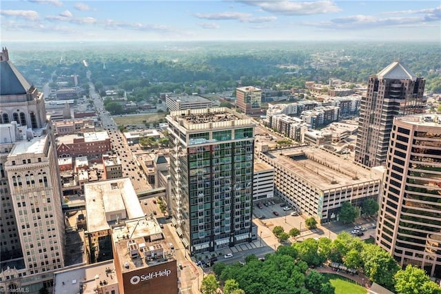 201 N Elm St Unit 703, Greensboro, NC 27401 - city view