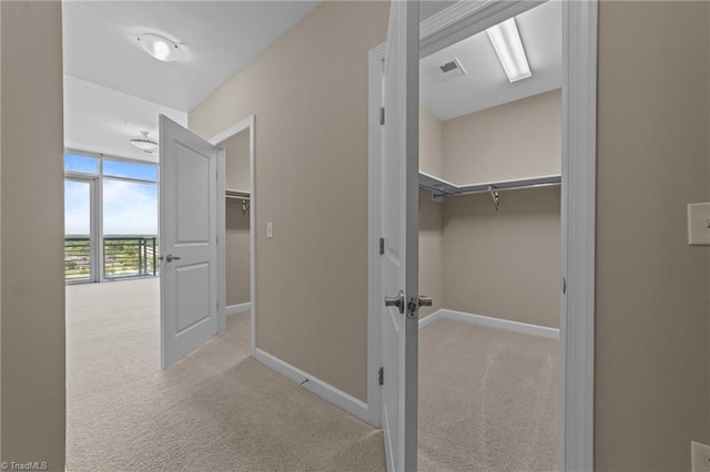 201 N Elm St Unit 703, Greensboro, NC 27401 - hallway with carpet and baseboards