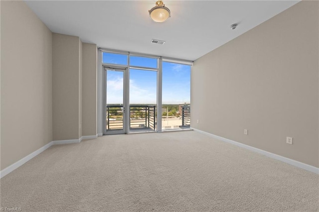 201 N Elm St Unit 703, Greensboro, NC 27401 - empty room with floor to ceiling windows, light carpet, and baseboards