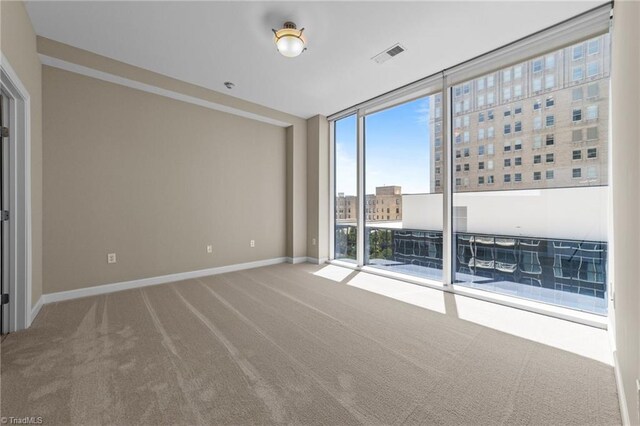 201 N Elm St Unit 703, Greensboro, NC 27401 - spare room featuring carpet, floor to ceiling windows, and baseboards