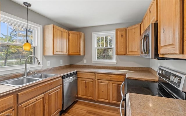 kitchen with appliances with stainless steel finishes, sink, decorative light fixtures, and light hardwood / wood-style flooring