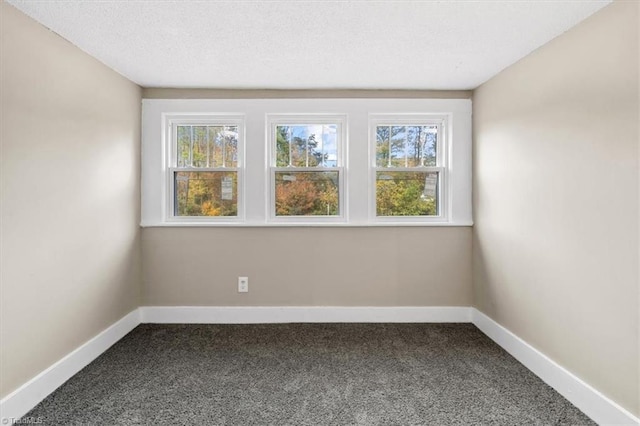 carpeted spare room featuring a wealth of natural light and a textured ceiling
