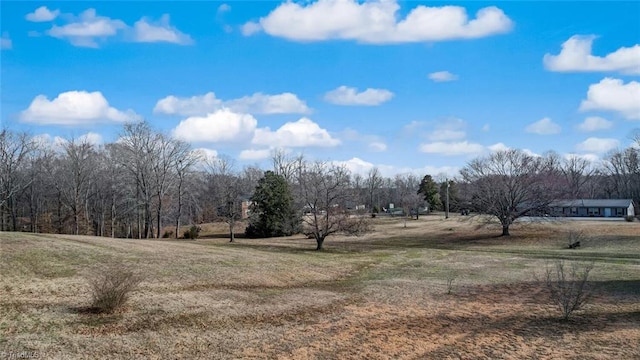 view of yard featuring a rural view