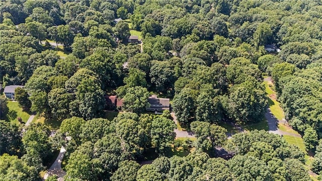 2424 Limner Ln, Winston-Salem, NC 27106 - view of property location with a heavily wooded area
