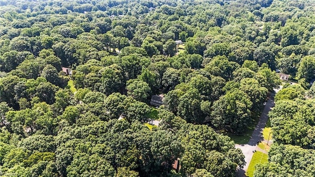 2424 Limner Ln, Winston-Salem, NC 27106 - bird's eye view of a forest
