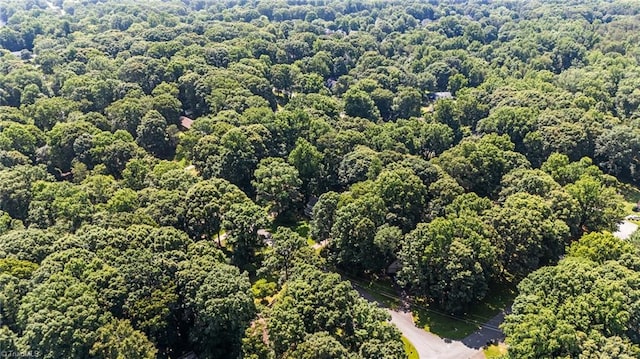 2424 Limner Ln, Winston-Salem, NC 27106 - drone / aerial view of a forest