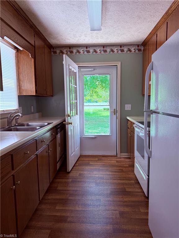 1770 Inglebrook Trl, Mount Airy, NC 27030 - kitchen with white appliances, a sink, plenty of natural light, dark wood finished floors, and a textured ceiling