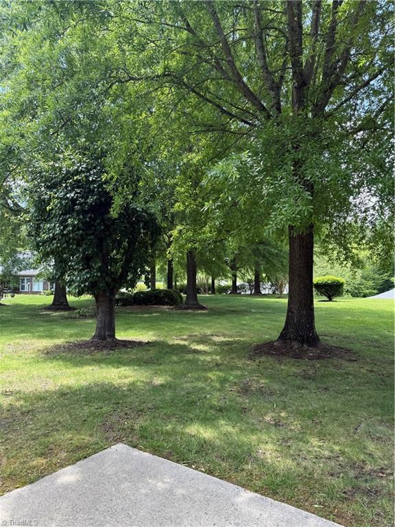 1770 Inglebrook Trl, Mount Airy, NC 27030 - view of grassy yard