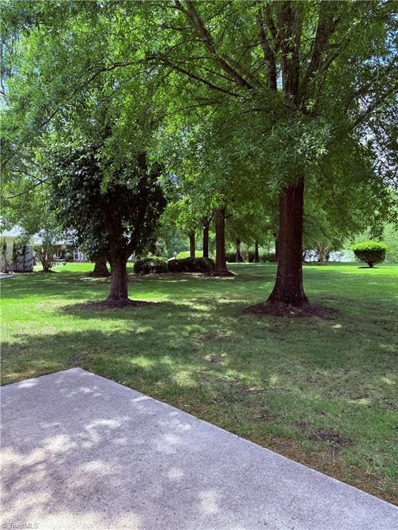 1770 Inglebrook Trl, Mount Airy, NC 27030 - view of green lawn