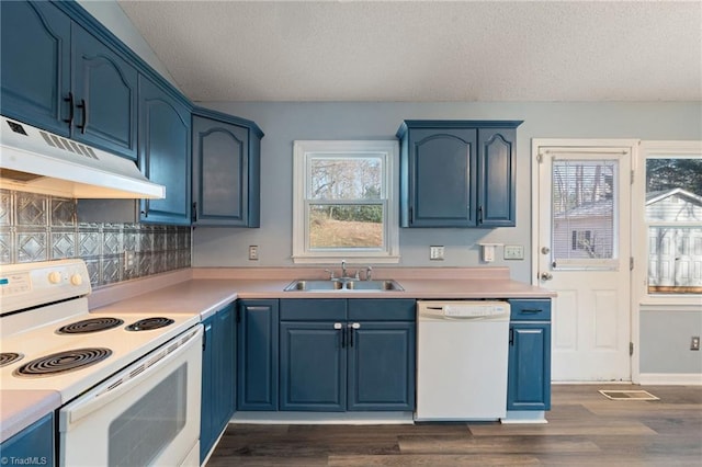 kitchen with under cabinet range hood, blue cabinetry, a sink, dark wood finished floors, and white appliances