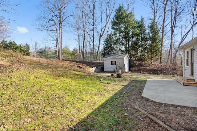 view of yard featuring a patio, an outdoor structure, and a shed