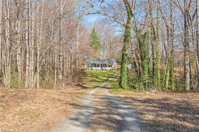 view of road featuring driveway