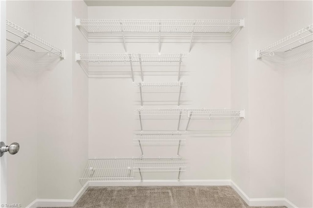 walk in closet featuring carpet