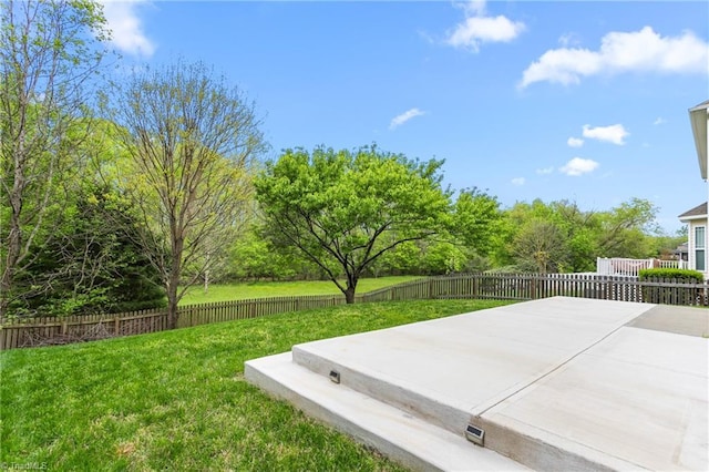 view of yard with a patio and a fenced backyard