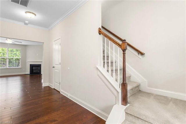 staircase featuring hardwood / wood-style floors, ornamental molding, visible vents, a ceiling fan, and baseboards