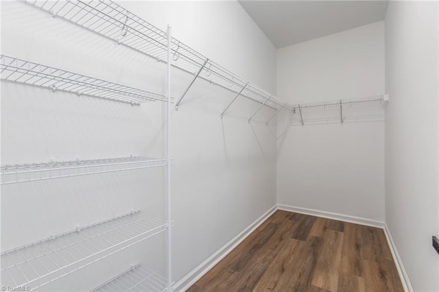 spacious closet with dark wood-type flooring