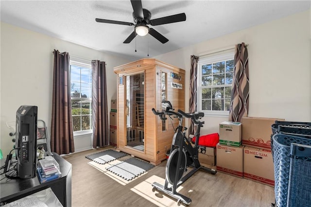 workout room featuring light hardwood / wood-style flooring and ceiling fan