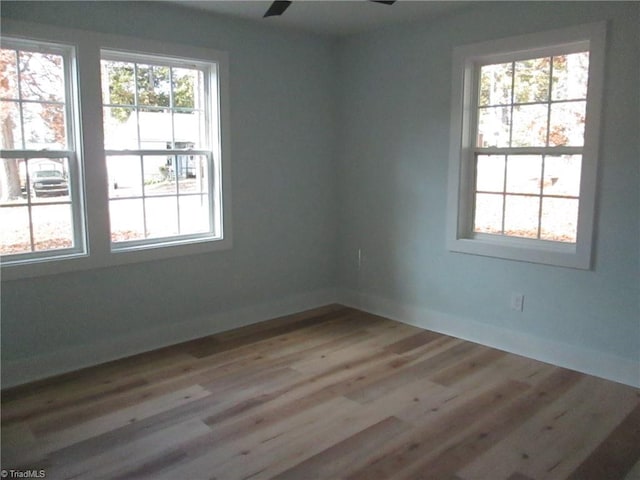 empty room featuring ceiling fan and light wood-type flooring