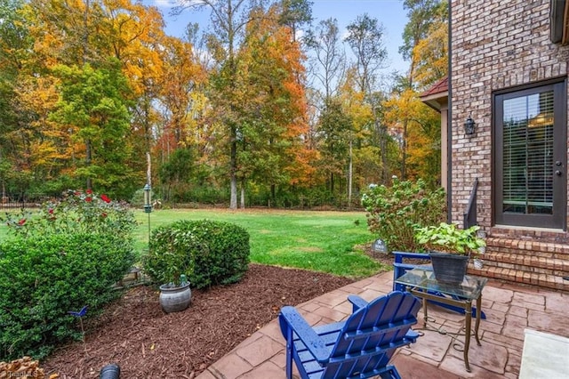 view of yard with a patio