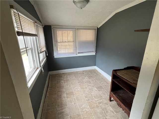 interior space with lofted ceiling