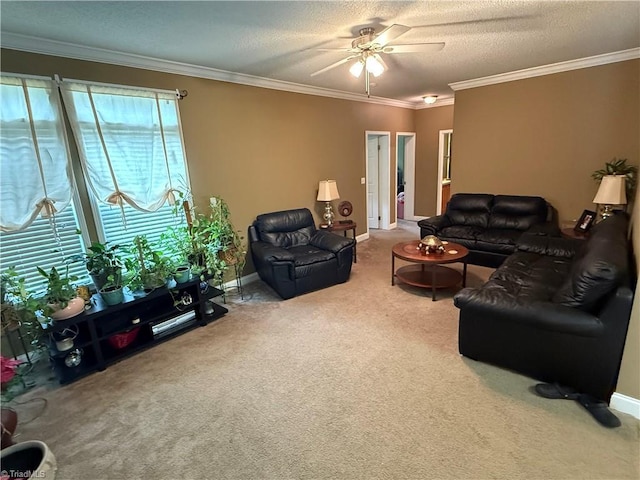 living area with carpet, ceiling fan, a textured ceiling, ornamental molding, and baseboards