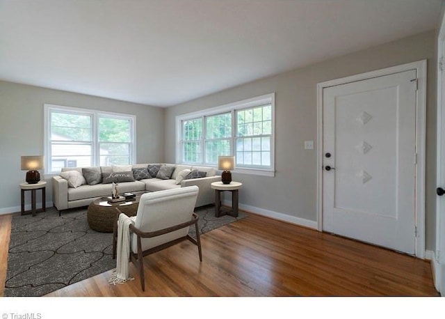 living room with hardwood / wood-style flooring