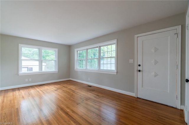 entrance foyer featuring plenty of natural light and wood-type flooring