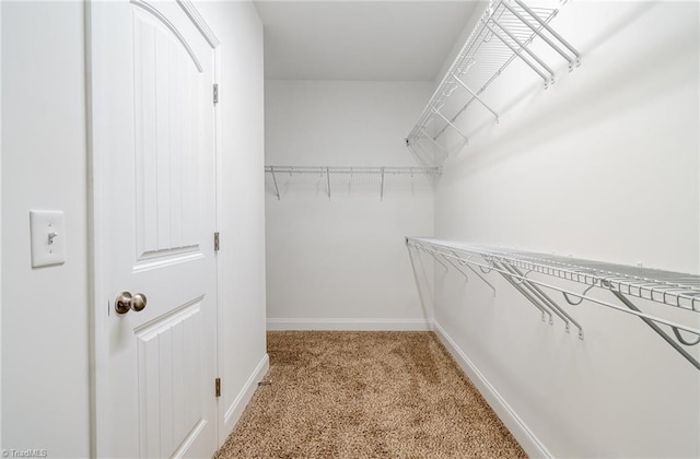 2209 Starfall Dr, Colfax, NC 27235 - walk in closet featuring light colored carpet