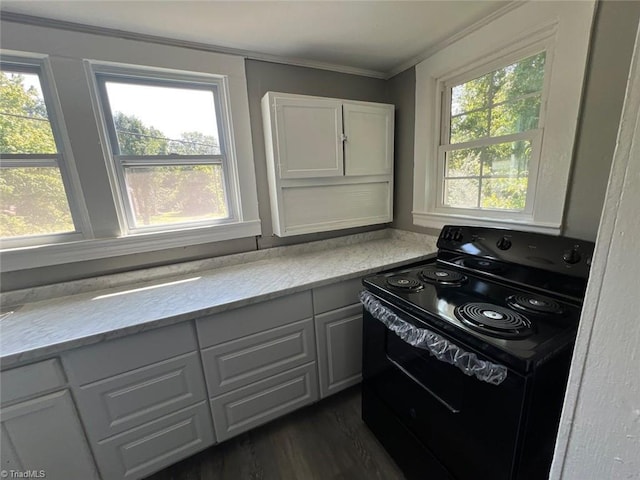 kitchen with black range with electric stovetop, dark hardwood / wood-style flooring, and plenty of natural light