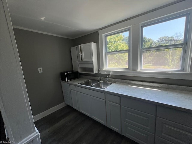 kitchen featuring sink and dark wood-type flooring