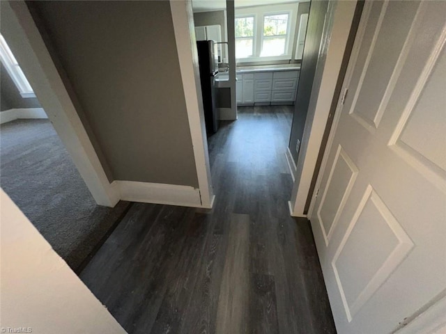 hallway with dark hardwood / wood-style flooring