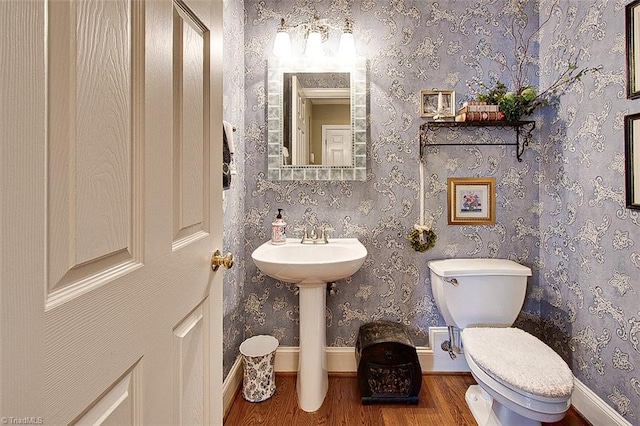 bathroom with toilet, sink, and wood-type flooring