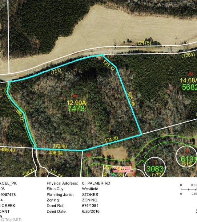 0 Palmer Rd, Westfield NC, 27053 land for sale