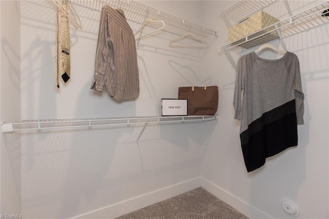 spacious closet with carpet