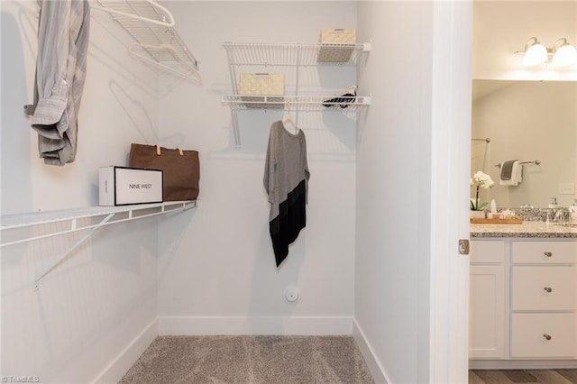 spacious closet featuring carpet
