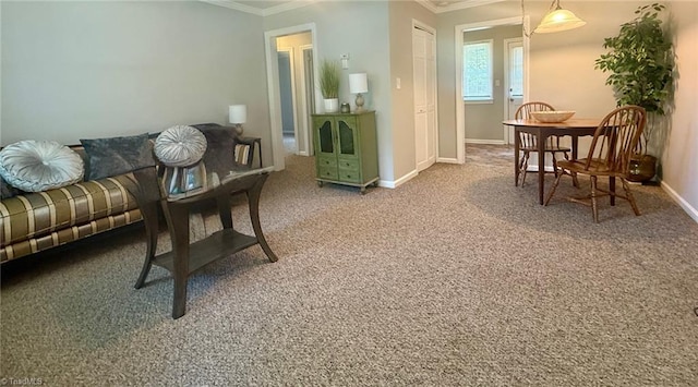 1500 Brent Ct Unit 9-B, Burlington, NC 27215 - living area featuring ornamental molding, carpet, and baseboards