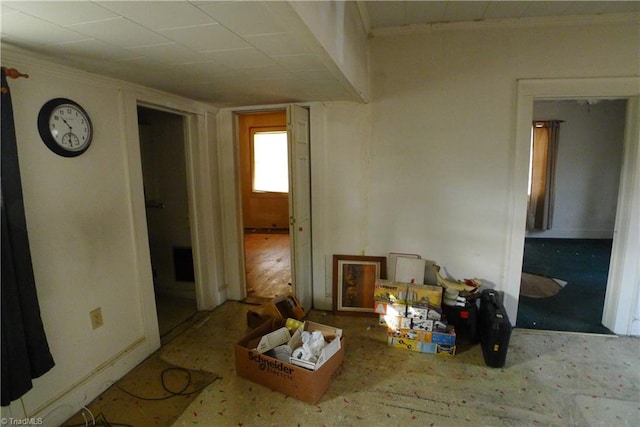 interior space featuring hardwood / wood-style flooring and crown molding