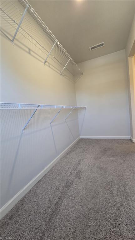 spacious closet featuring carpet floors