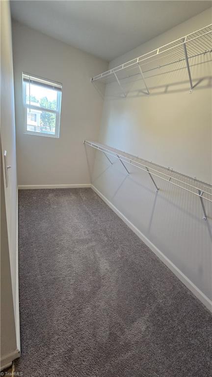 spacious closet featuring carpet floors