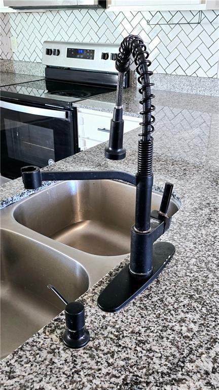 details featuring sink and electric range