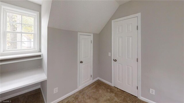 additional living space featuring vaulted ceiling, carpet, and baseboards