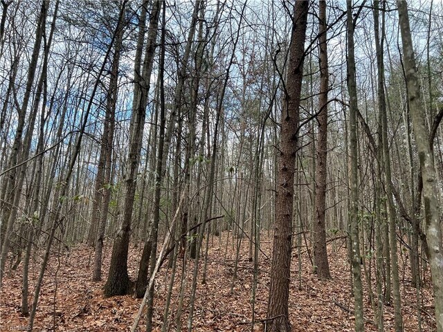 LOT15 Fisher Valley Rd, Dobson, NC 27017