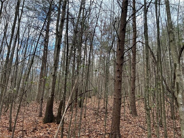 0 Fisher Valley Rd, Dobson NC, 27017 land for sale